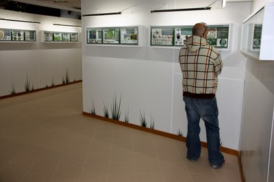 Museu de les Papallones de Catalunya a Pujalt (Foto: ACN)