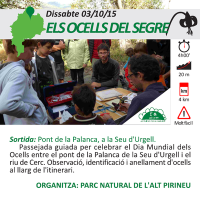 Dia Mundial dels Ocells 2015