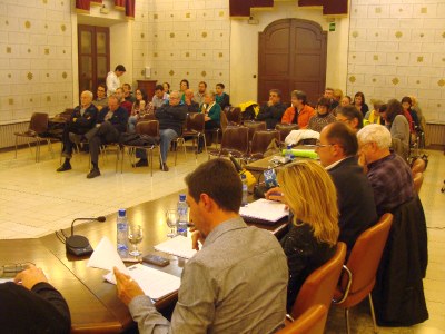 Ple Ajuntament la Seu 02.2014 2