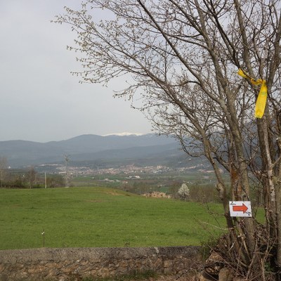 Senyals indicatius de la cursa La Foranca, l'any passat (www.laforanca.cat)