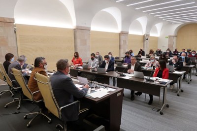 Joan Talarn ha comparegut davant la Comissió de Polítiques Digitals i Territori del Parlament de Catalunya (Foto: Diputació de Lleida)