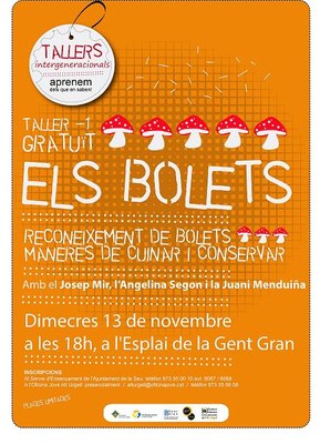 Taller de bolets 2013 - Cartell