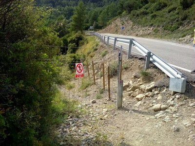 Accés a les basses naturals de Coll de Nargó des de l'L-511 (Foto: Manué Montero)