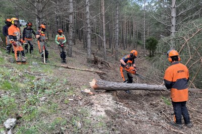 Alumnes d'un curs de peonatge forestal, amb el seu professor, fent pràctiques amb la motoserra a la muntanya d'Alinyà (Foto: ACN/Albert L. Cobo)