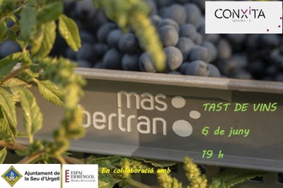 Tast de vins a l'Espai Ermengol amb maridatge de productes 