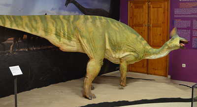 Un dels elements que es podien veure al Museu de la Conca Dellà (Foto d'arxiu/Dinosaures dels Pirineus)