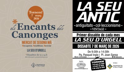 Els Encants dels Canonges i La Seu Antic