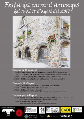 Festa del Carrer dels Canonges 