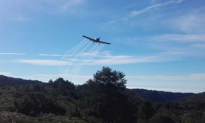 Un avió fumigant la setmana passada a l'Alt Urgell (Foto: Departament d'Agricultura)