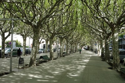 Passeig de Joan Brudieu de la Seu (Foto: Ajuntament de la Seu)
