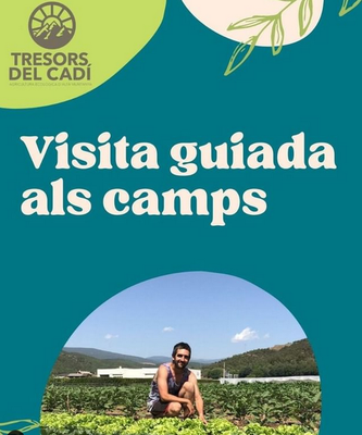 Visita guiada als camps de Tresors del Cadí, a Montferrer