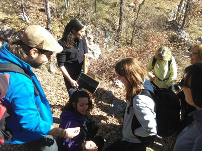 Restauració de caixes-niu a la Muntanya d'Alinyà (Foto: Fund. Catalunya-La Pedrera)