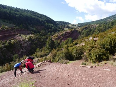 Port del Cantó - Paleontologia (ACN/Albert Vidal)