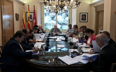 Conselh Generau d'Aran
