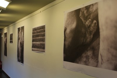 Exposició 'Jardins Costa Brava Sud', de Marta Belmonte