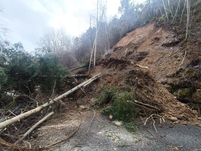 Despreniment de terra i arbres a la carretera cap a Sant Joan Fumat 
