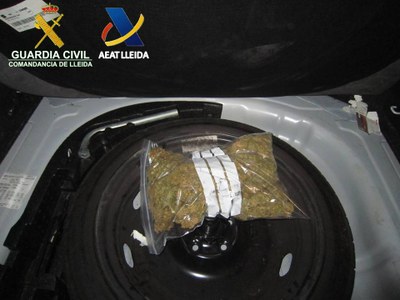 Decomís de marihuana a la Farga de Moles
