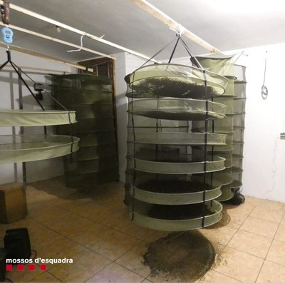 Instal·lació per assecar marihuana en un local de Noves de Segre (Foto: Mossos d'Esquadra)