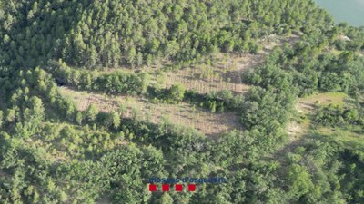 Imatge aèria de la macroplantació de marihuana desmantellada aquest dimarts a Coll de Nargó (Foto: Mossos d'Esquadra)