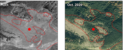 Imatge d'un estudi sobre abandonament de terres als Pirineus (UdL-UniZar)