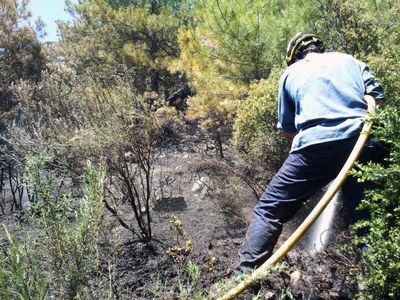 Incendi - Font Bordonera (Foto: Bombers d'Organyà)