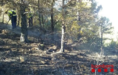 Incendi al barranc del Boter de Peramola (Foto: Bombers de la Generalitat)