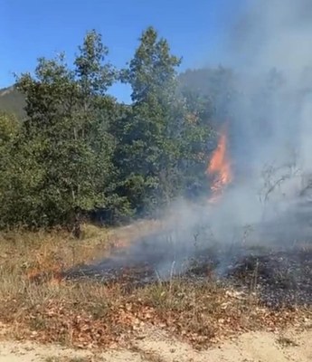 Incendi en una àrea de vegetació a Montellà i Martinet (Imatge: Bombers)