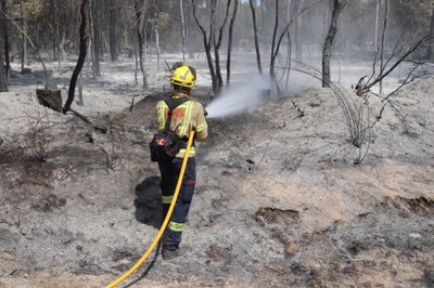 Bomber remullant una de les zones cremades aquest estiu a Catalunya (Foto: Gerard Vilà)