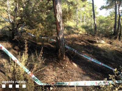 Incendi a Bassella (Foto: Agents Rurals)