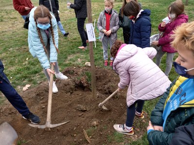 Dia Mundial de l'Arbre a la Seu d'Urgell (Fotos: Servei Educatiu de l'Alt Urgell)