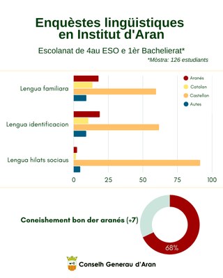 Gràfic de l'enquesta lingüística a estudiants de la Val d'Aran (Autor: Conselh Generau d'Aran)