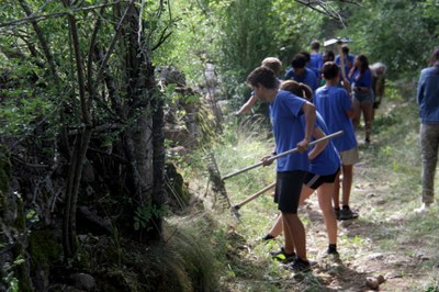 Camp de treball a Bellver de Cerdanya (Foto: ACN)
