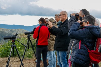Observació de la brama del cérvol a Castellar de n'Hug, un dels punts habilitats a la Reserva de Caça del Cadí (Foto: ACN/Marc Codinas)