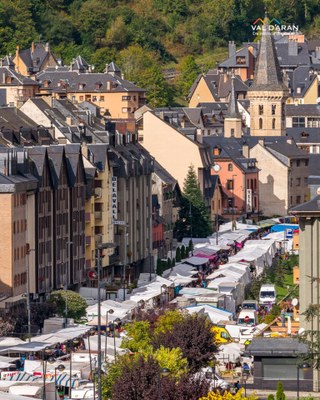 Fira de Vielha (Foto: Val d'Aran)