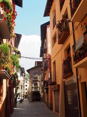 Carrer dels Canonges