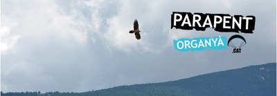 Voltors i parapent - Logo
