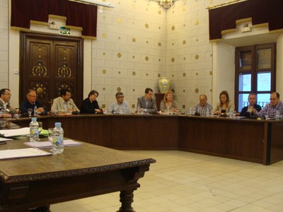 Ple municipal de la Seu - Maig 2011