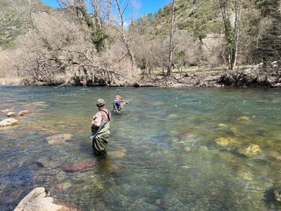 Campionat d'Espanya de Pesca de Salmònids Mosca Màsters, al riu Noguera Pallaresa (Foto: ACN)