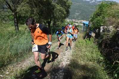Arruix de Santa Fe 2017 (Foto: Montse Pagès)
